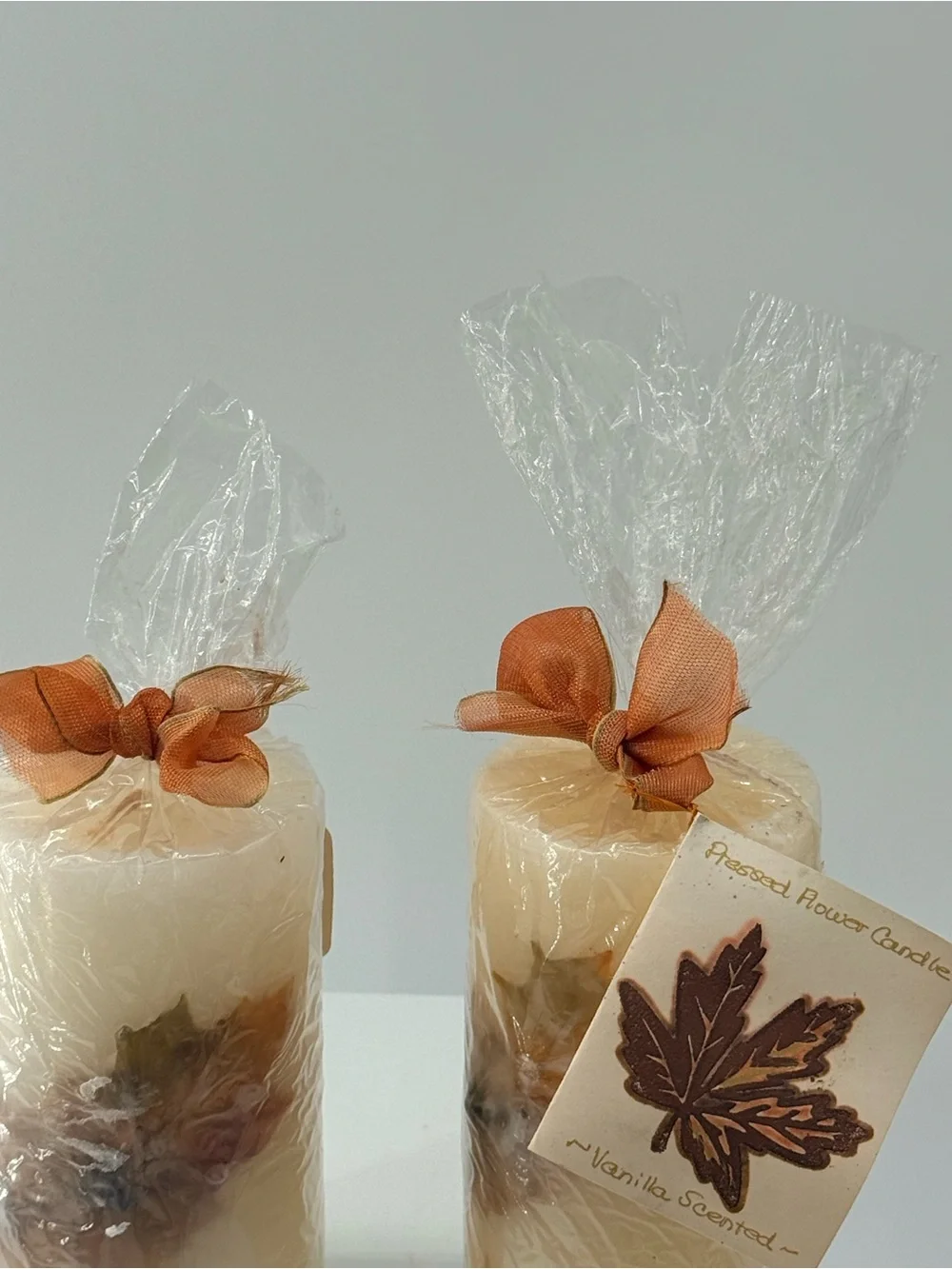 Vanilla Scented Cream Pillar Candle with Pressed Leaves - Set of 2